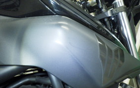 YAMAHA MT-25 2021 RG10J