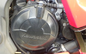 KAWASAKI NINJA 250 BX250A