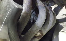 HONDA HORNET 250 2005 MC31