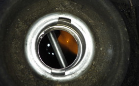 HONDA ZOOMER 2018 AF58