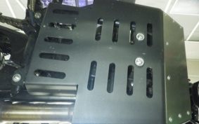 OTHER +ﾏｯﾄﾓｰﾀｰｻｲｸﾙ250