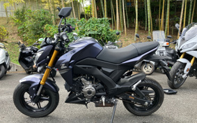 KAWASAKI Z125 PRO BR125H
