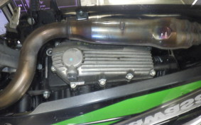 KAWASAKI NINJA 250 ABS EX250L