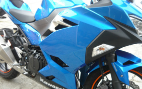 KAWASAKI NINJA 250 ABS EX250P