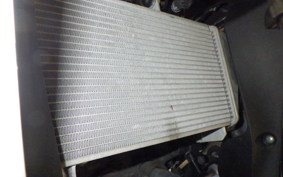 YAMAHA YZF-R25 A 2001 RG43J