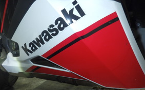 KAWASAKI ZX-25R 2018 ZX250E