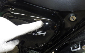 KAWASAKI W800 2025 EJ800E