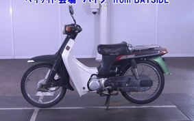 OTHER  BIRDIE 80E