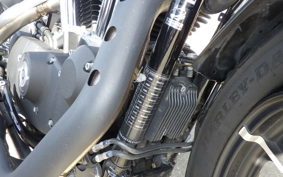 HARLEY XL883N 2018