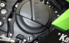 KAWASAKI NINJA 250 2023 EX250P