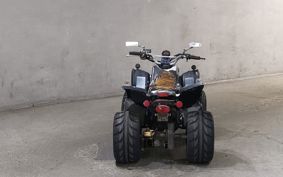 OTHER  BUGGY  ASH  YELLOW RYOU UNKNOWN  ..