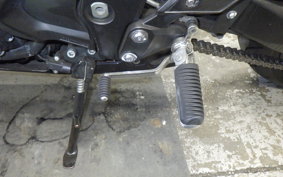 YAMAHA FZ1 FAZER 2010 RN21J