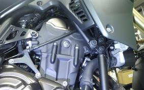 YAMAHA TENERE 700 2025 DM13J