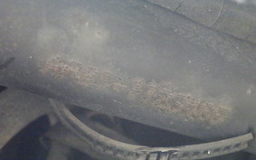 HONDA TODAY AF61