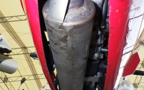 OTHER +ﾒｶﾞﾘ250R