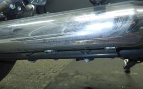 HARLEY XL1200CX 2017