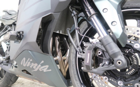 KAWASAKI NINJA ZX-4R SE 2025 ZX400P