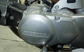 HONDA SOLO AC17