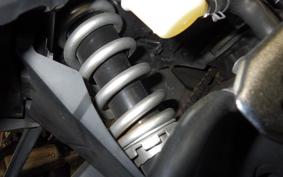 YAMAHA YZF-R25 2024 RG43J