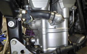 KAWASAKI KLX250 2024 LX250E