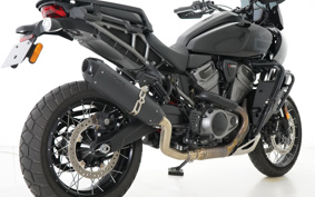 HARLEY  HARLEY  PAN  AMERICA 1250 SPECIAL  2021 ZES
