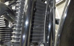 TRIUMPH BONNEVILLE T100 2015