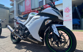 KAWASAKI NINJA 250 EX250L