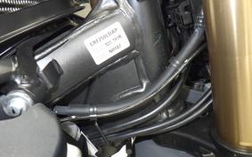 HONDA CRF250L 2024 MD47
