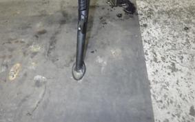 KAWASAKI Z900RS SE 2025 ZR900K