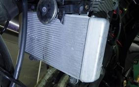 KAWASAKI NINJA 250R 2021 EX250K