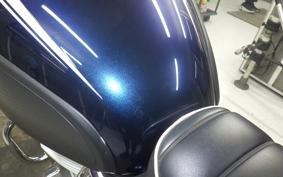 KAWASAKI W800 2022 EJ800E