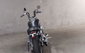HARLEY FXDL-1450 2005 GDV