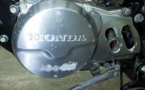 HONDA APE 100 2023 HC07