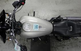 INDIAN Scout 2024