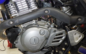 YAMAHA TT-R125LWE
