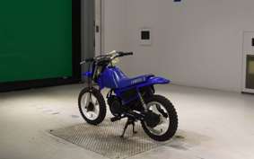 YAMAHA PW50 2016 3PT
