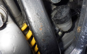 SUZUKI RMX250 S SJ13A