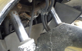 HONDA FORESIGHT EX MF04