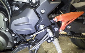 KAWASAKI NINJA 250 2