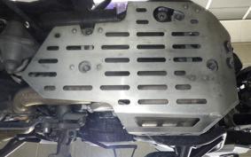 TRIUMPH TIGER 800 XC A 2020