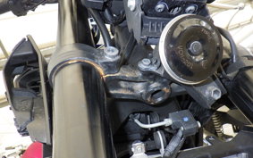YAMAHA MT-25 A RG74J