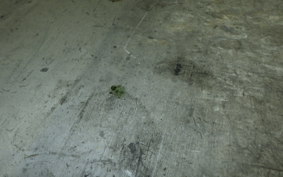 HONDA ST1100 1991 SC26