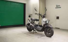 HONDA ZOOMER 2010 AF58