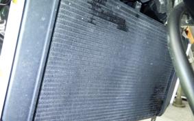 KAWASAKI Z900RS 2023 ZR900K