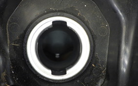 HONDA FORZA 250 MF13