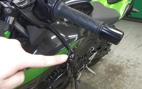 KAWASAKI Z250 Gen.2 2006 EX250Y