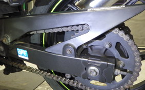 KAWASAKI NINJA 250R 2022 EX250K