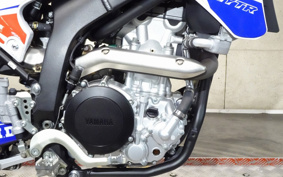 YAMAHA WR250X DG15J