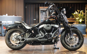 HARLEY FLSTSB 2008 JM5