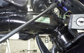 HONDA MONKEY 2022 Z50J